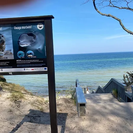 14 Nina - Dębina * Debina (Ustka)