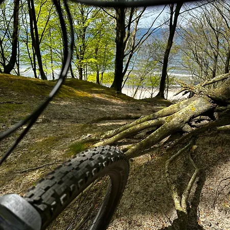 14 Nina - Dębina Debina (Ustka)