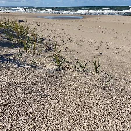 14 Nina - Dębina Debina (Ustka)