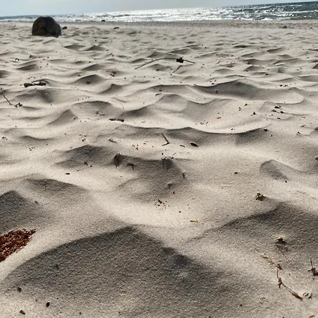 14 Nina - Dębina * Debina (Ustka)