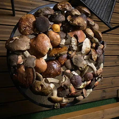 14 Nina - Dębina Apartament *