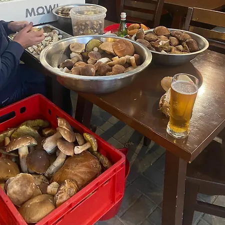 14 Nina - Dębina Debina (Ustka)