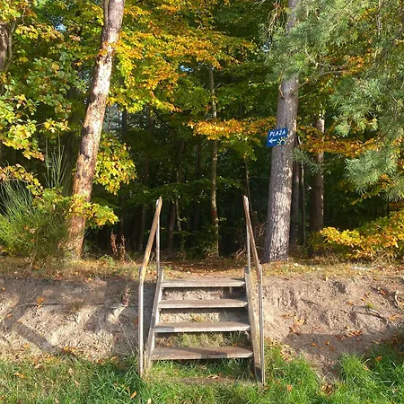 14 Nina - Dębina * Debina (Ustka)