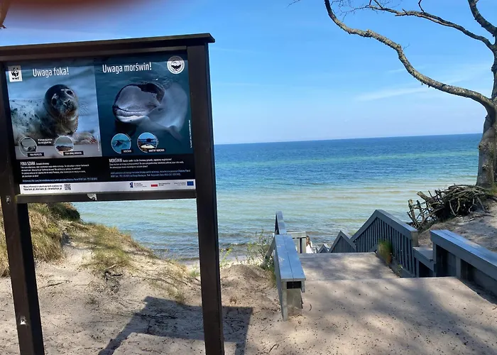 14 Nina - Debina * Debina (Ustka)