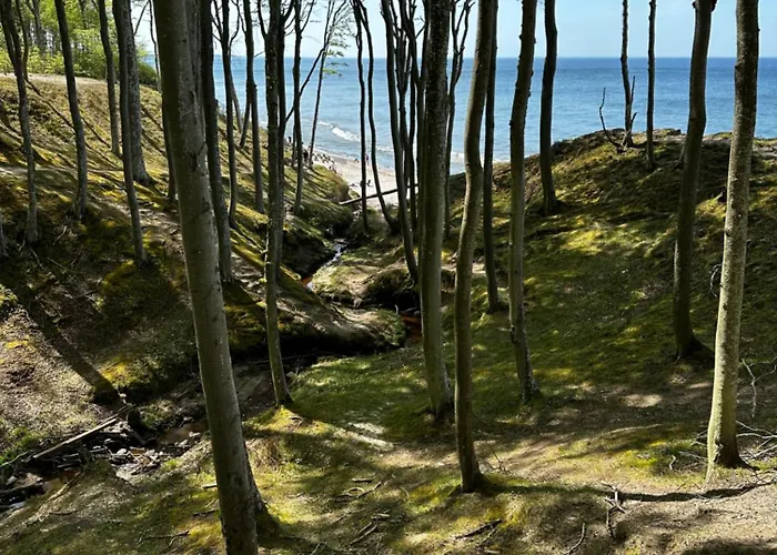 Lejlighed 14 Nina - Debina