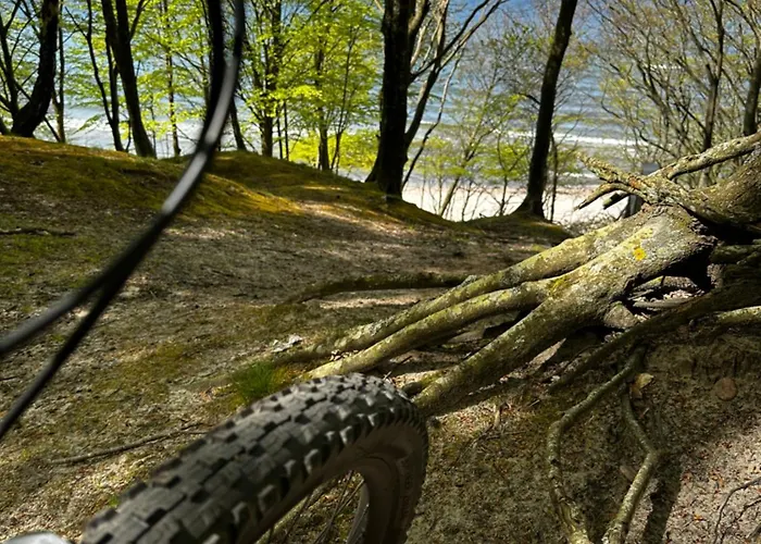 14 Nina - Debina Debina (Ustka)