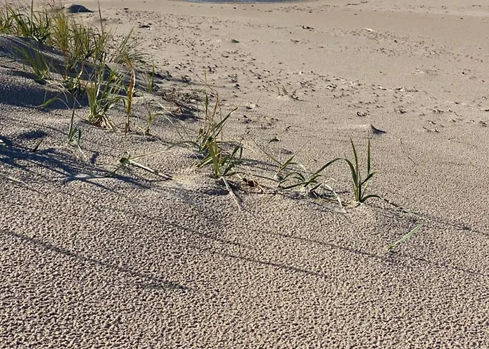 14 Nina - Debina Debina (Ustka)