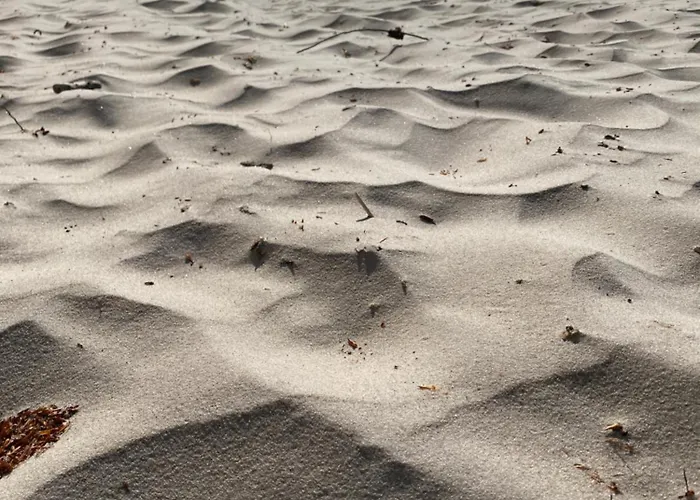 14 Nina - Debina * Debina (Ustka)