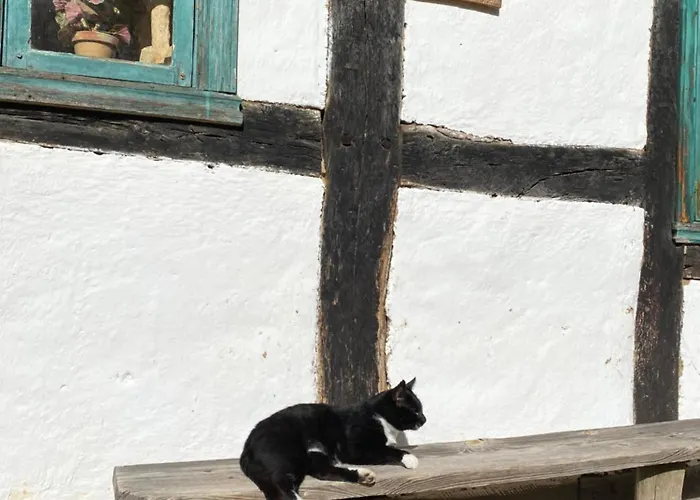 14 Nina - Debina Debina (Ustka)