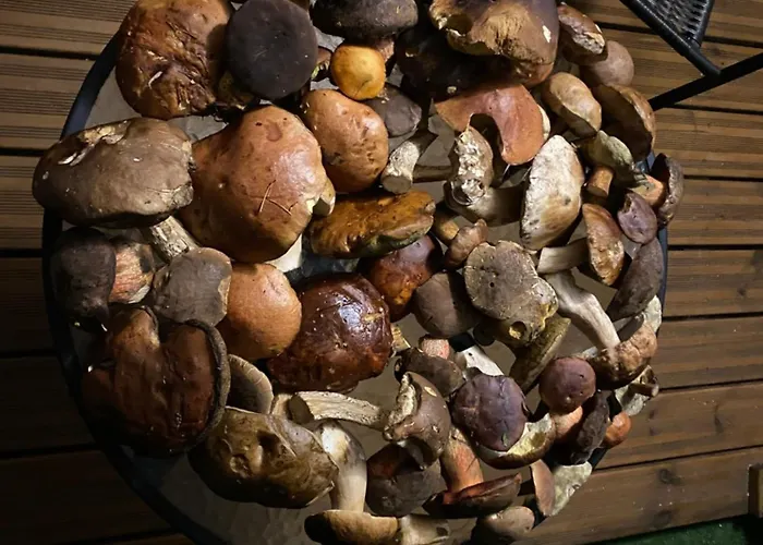 14 Nina - Debina アパート *