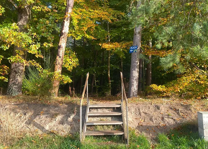 14 Nina - Debina * Debina (Ustka)